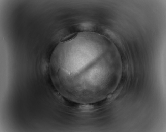 X0000092220281200709211013