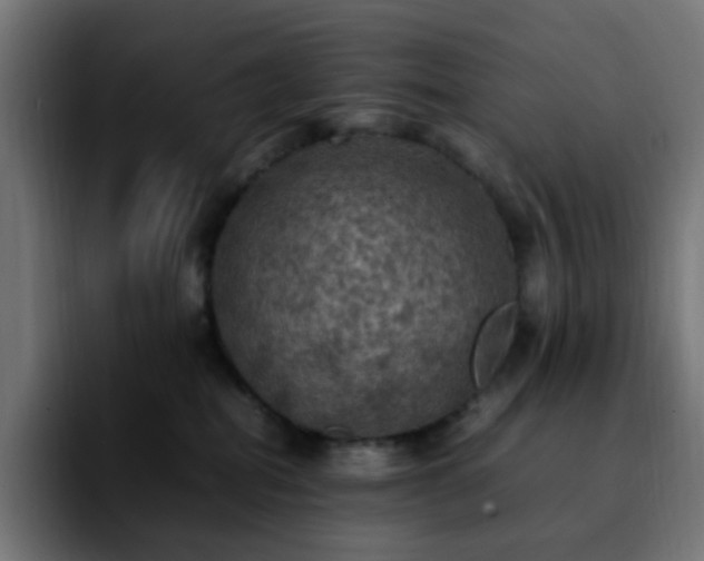 X0000092220282200709211013
