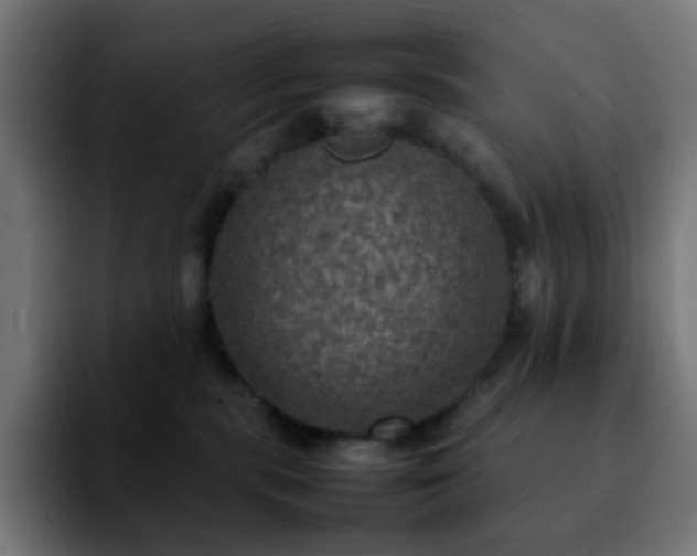 X0000092220283200709211013