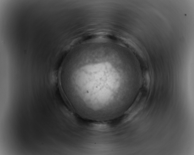 X0000092220284200709211013