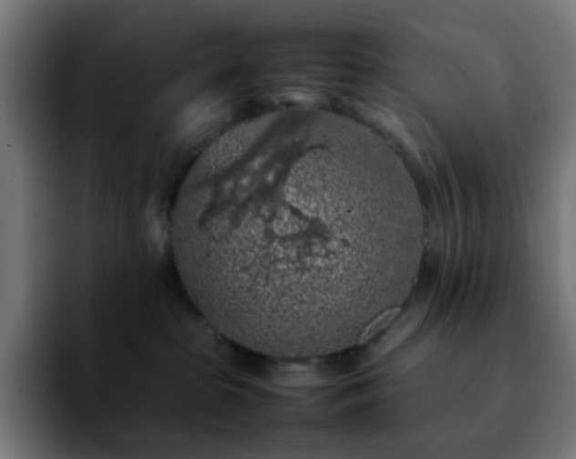 X0000092220285200709211013