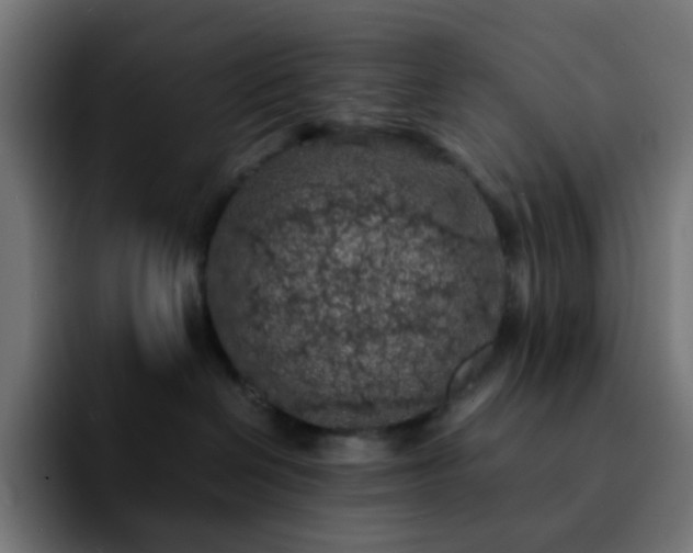 X0000092220286200709211013