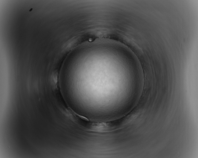 X0000092220288200709211013