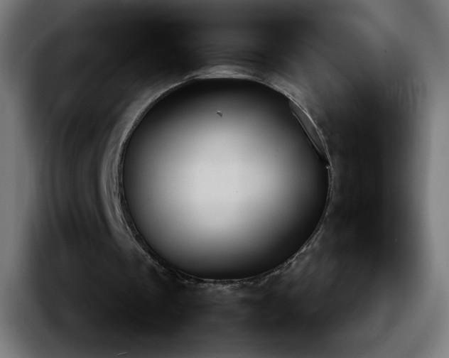 X0000092220289200709211012
