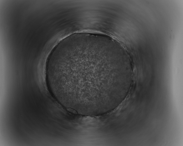 X0000092220290200709211012