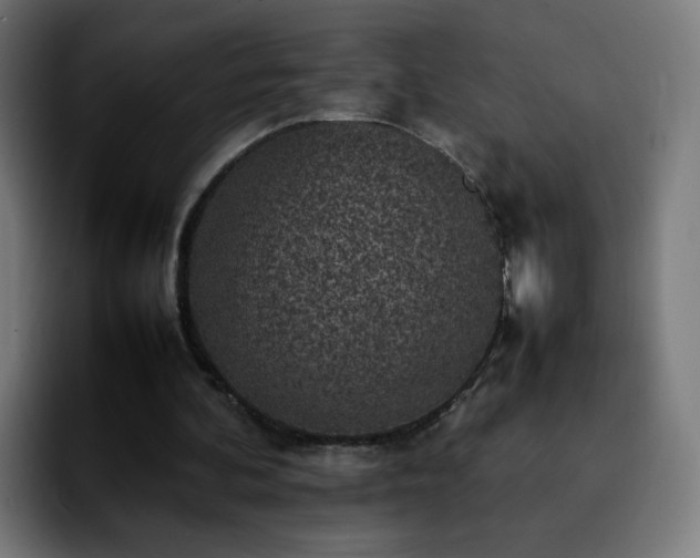 X0000092220292200709211012