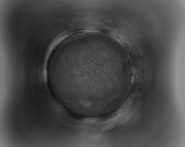 X0000092220294200709211012