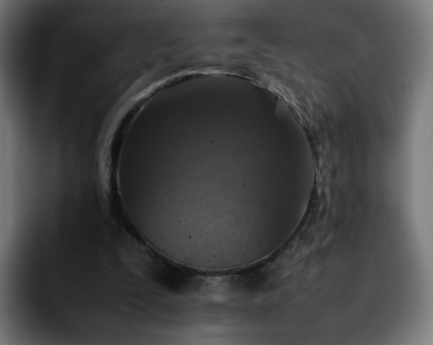 X0000092220295200709211012