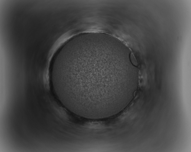 X0000092220296200709211012