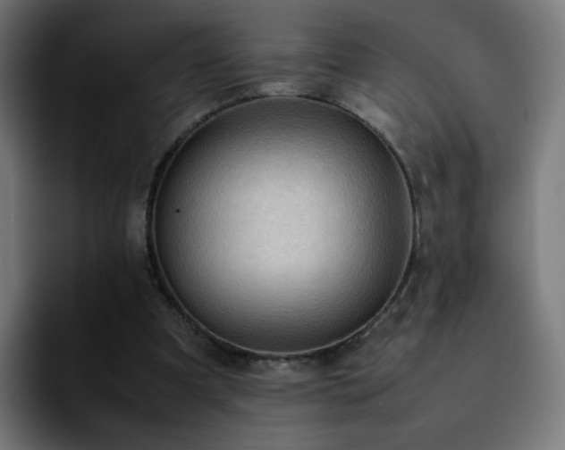 X0000092220297200709211012