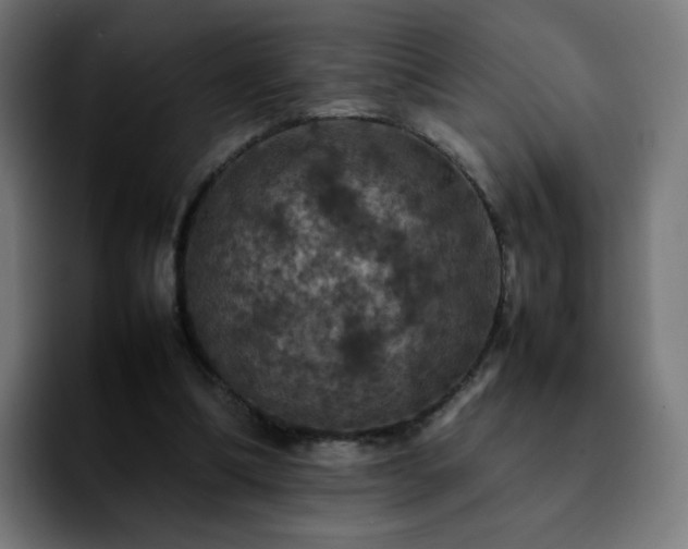 X0000092220298200709211012