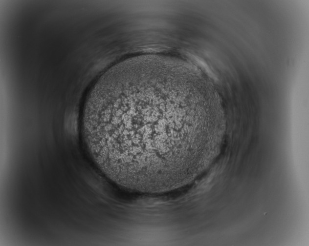 X0000092220299200709211012