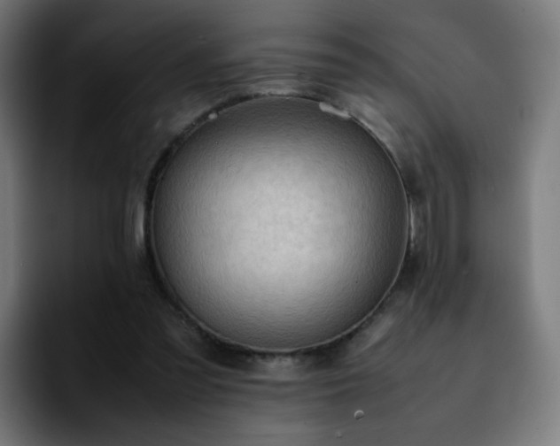 X0000092220301200709211012