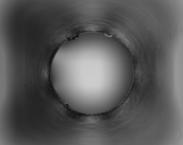X0000092220305200709211012