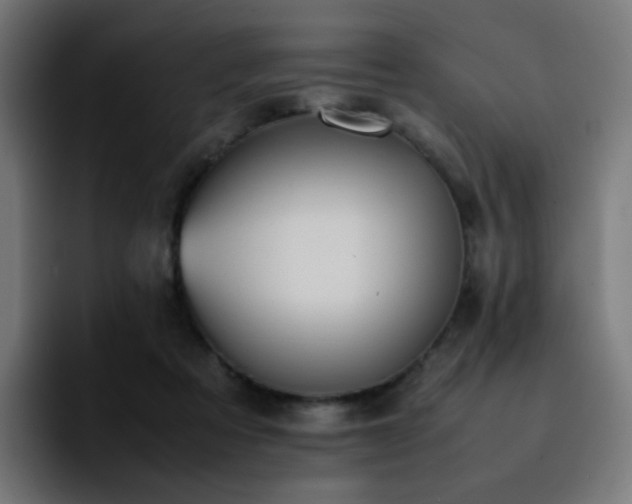 X0000092220313200709211012