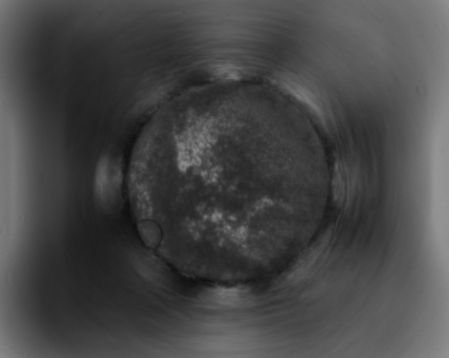 X0000092220314200709211012