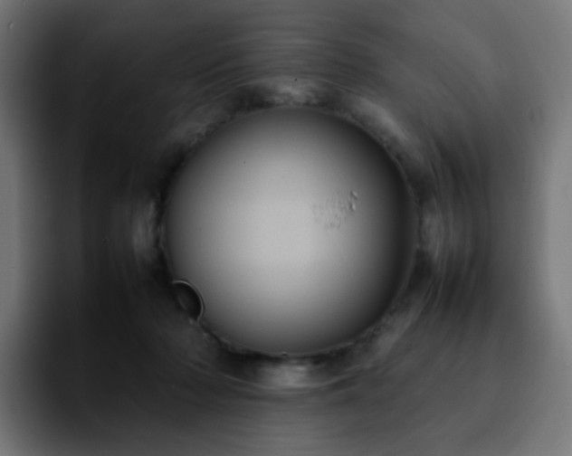 X0000092220318200709211012