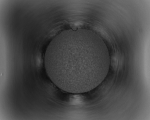 X0000092220324200709211012