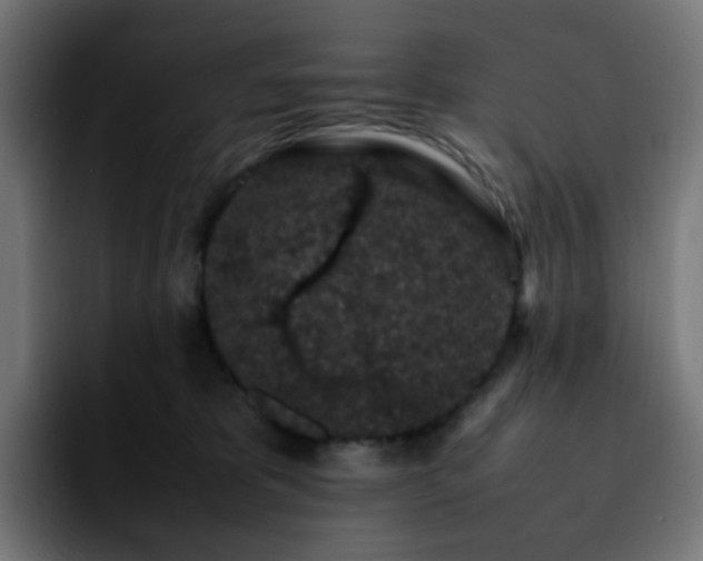 X0000092220325200709211012