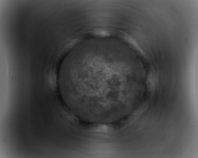 X0000092220330200709211012