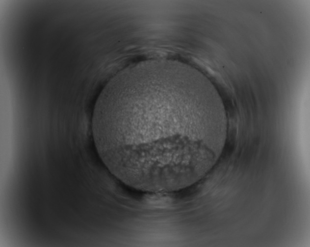 X0000092220331200709211012