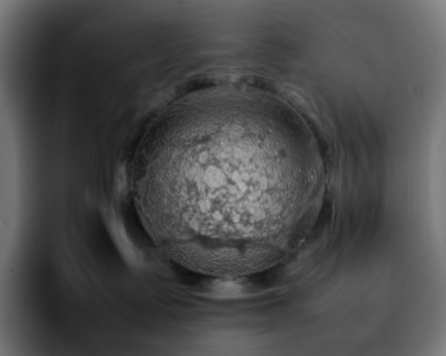 X0000092220335200709211012
