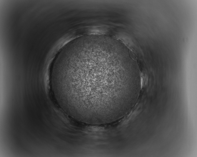 X0000092220339200709211011