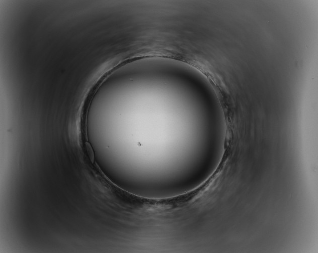 X0000092220340200709211011