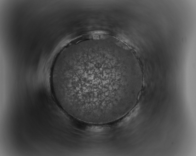 X0000092220341200709211011
