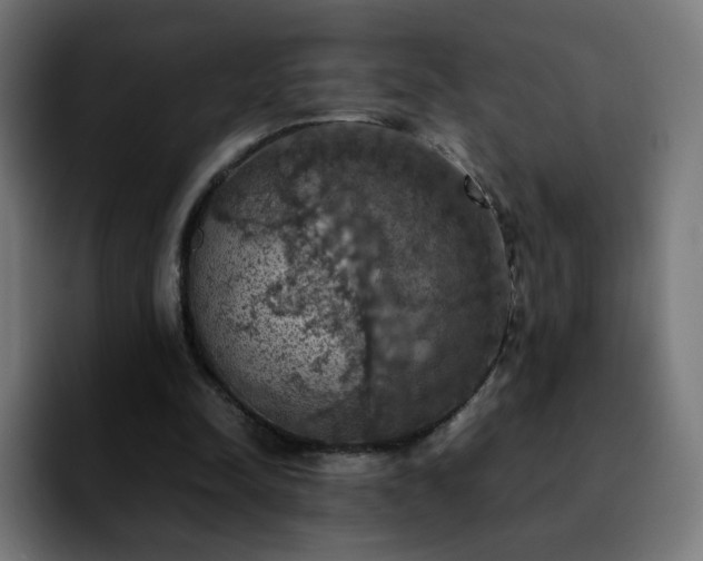 X0000092220342200709211011