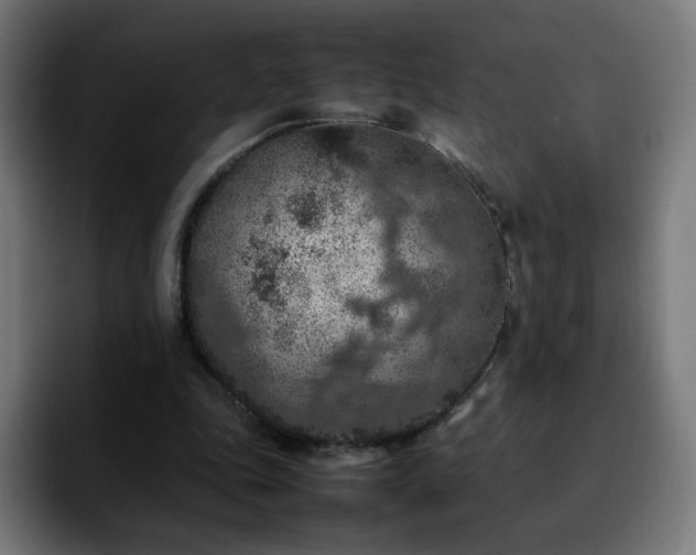 X0000092220343200709211011