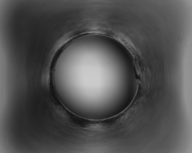 X0000092220344200709211011