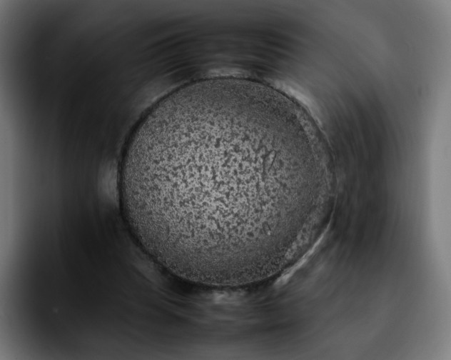 X0000092220345200709211011