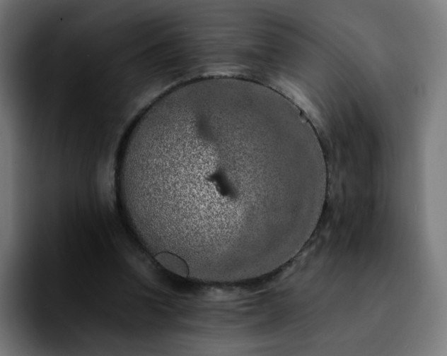 X0000092220346200709211011