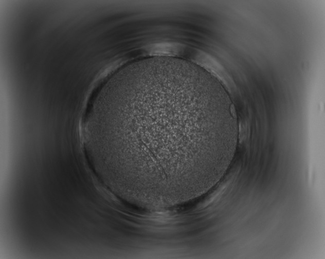 X0000092220349200709211012