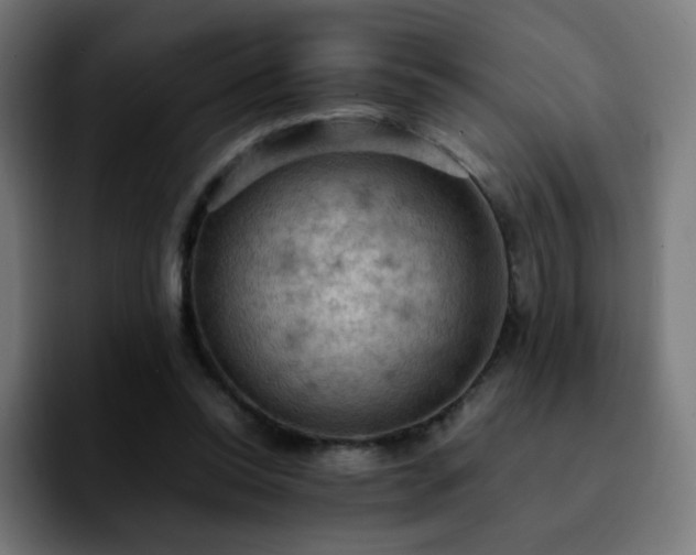 X0000092220350200709211012