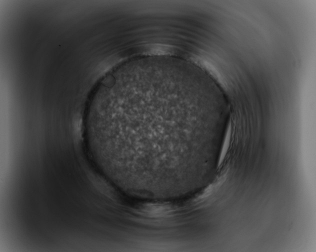 X0000092220351200709211012