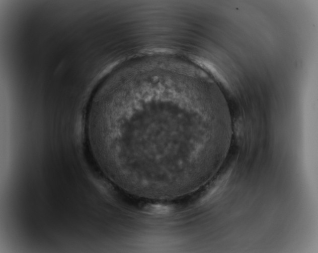 X0000092220352200709211012
