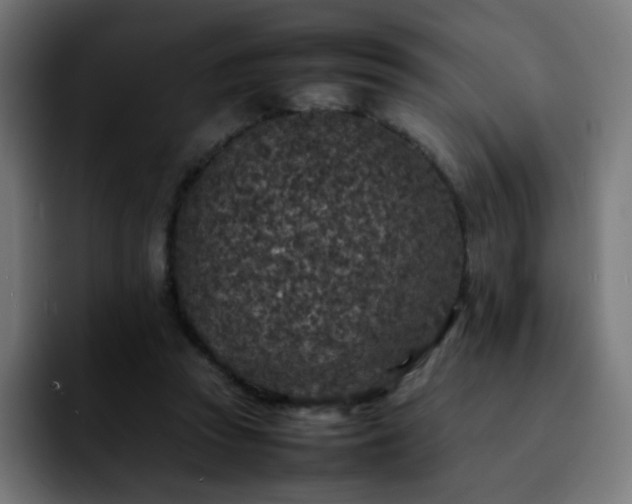 X0000092220353200709211012