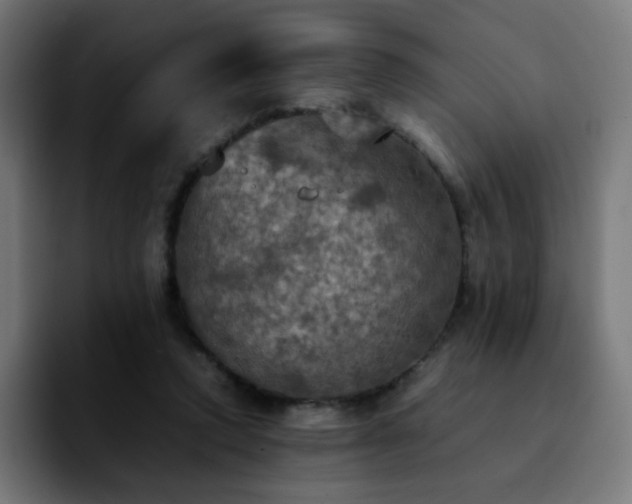 X0000092220354200709211012