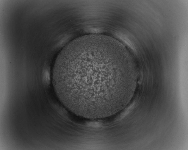 X0000092220358200709211012