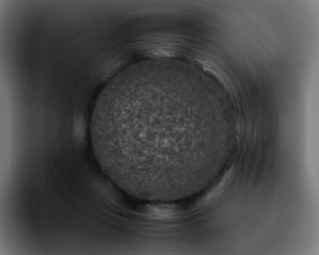 X0000092220359200709211012