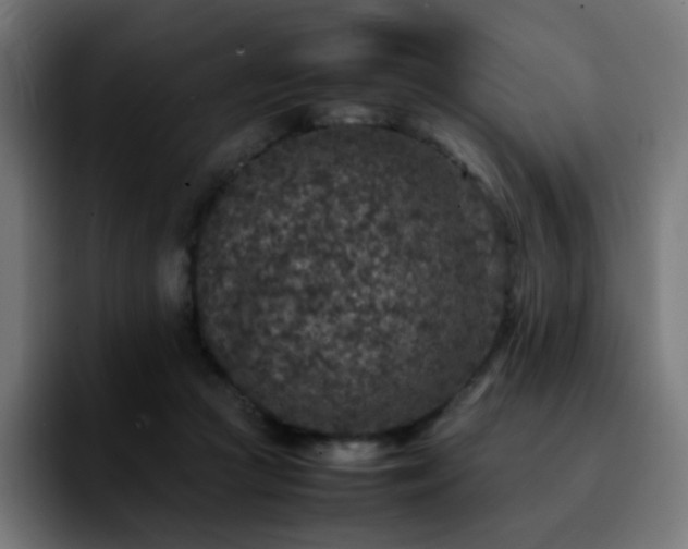 X0000092220361200709211012