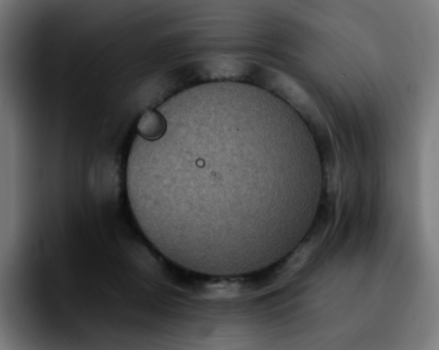 X0000092220362200709211012