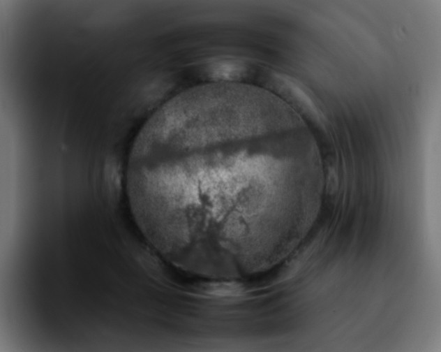 X0000092220363200709211012