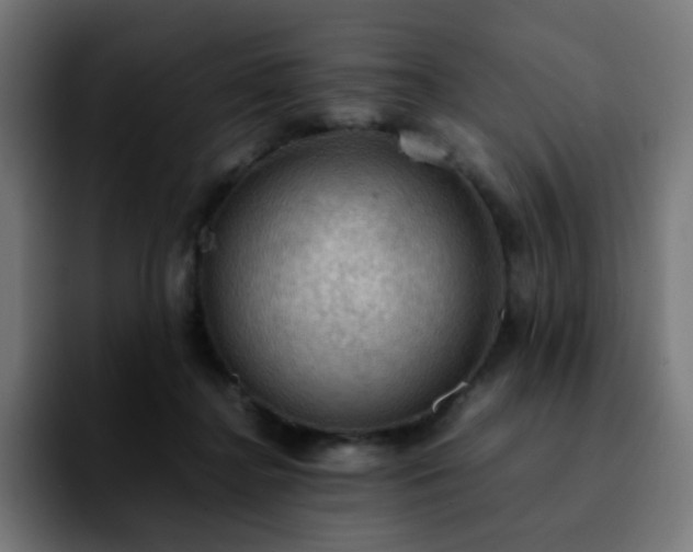 X0000092220364200709211012