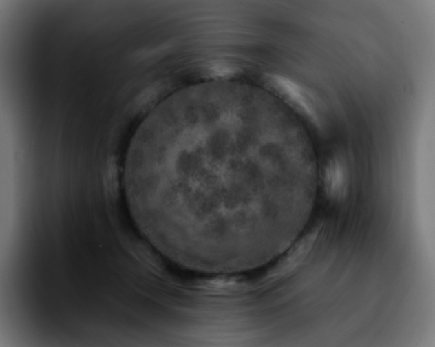 X0000092220366200709211012