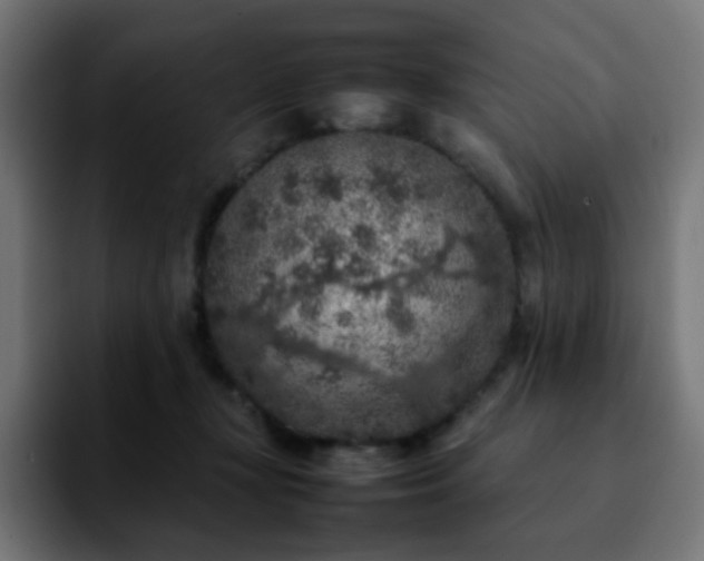 X0000092220367200709211012