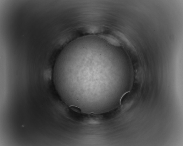 X0000092220368200709211012