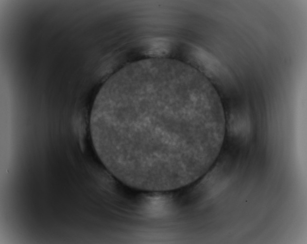 X0000092220370200709211012